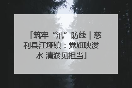 筑牢“汛”防线｜慈利县江垭镇：党旗映溇水 清淤见担当