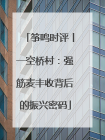 筝鸣时评丨一空桥村：强筋麦丰收背后的振兴密码