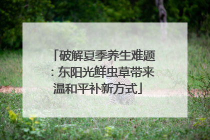 破解夏季养生难题：东阳光鲜虫草带来温和平补新方式