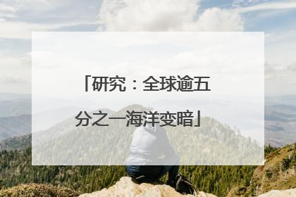 研究：全球逾五分之一海洋变暗