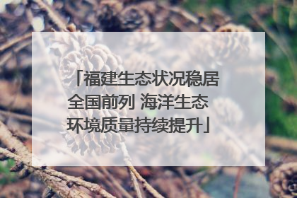福建生态状况稳居全国前列 海洋生态环境质量持续提升
