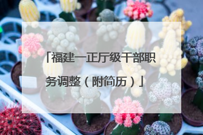 福建一正厅级干部职务调整（附简历）