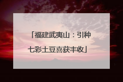 福建武夷山：引种七彩土豆喜获丰收