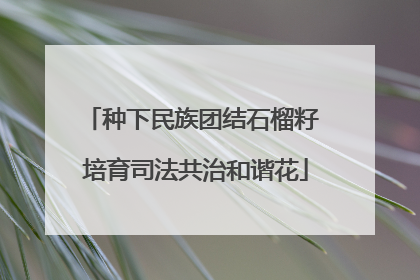 种下民族团结石榴籽 培育司法共治和谐花