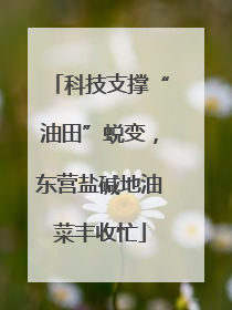科技支撑“油田”蜕变，东营盐碱地油菜丰收忙