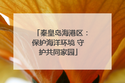 秦皇岛海港区：保护海洋环境 守护共同家园