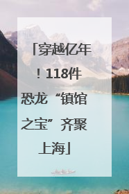 穿越亿年！118件恐龙“镇馆之宝”齐聚上海