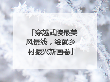 穿越武陵最美风景线，绘就乡村振兴新画卷