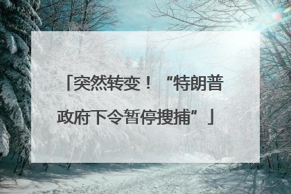 突然转变！“特朗普政府下令暂停搜捕”