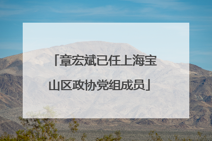 章宏斌已任上海宝山区政协党组成员