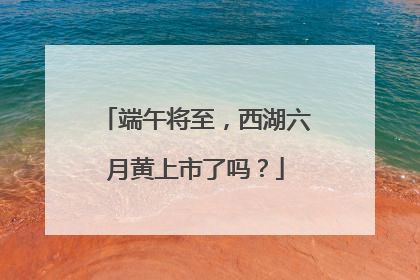 端午将至，西湖六月黄上市了吗？