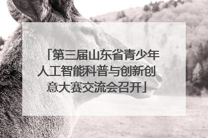 第三届山东省青少年人工智能科普与创新创意大赛交流会召开