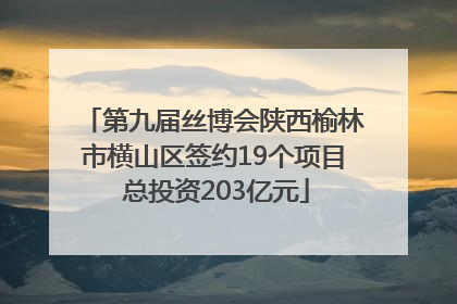 第九届丝博会陕西榆林市横山区签约19个项目 总投资203亿元