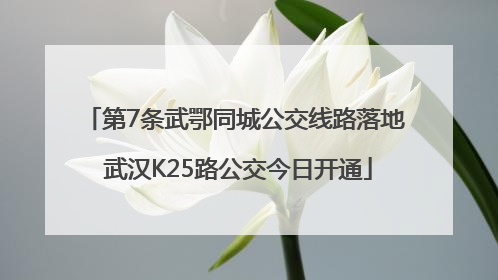 第7条武鄂同城公交线路落地 武汉K25路公交今日开通