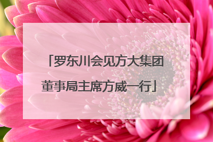 罗东川会见方大集团董事局主席方威一行