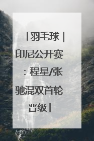 羽毛球｜印尼公开赛：程星/张驰混双首轮晋级