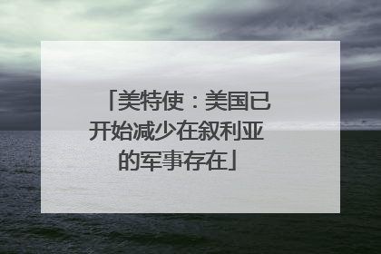 美特使：美国已开始减少在叙利亚的军事存在