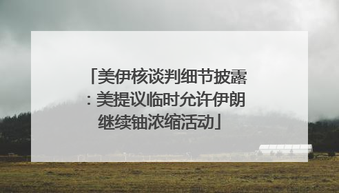 美伊核谈判细节披露：美提议临时允许伊朗继续铀浓缩活动