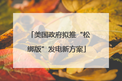 美国政府拟推“松绑版”发电新方案