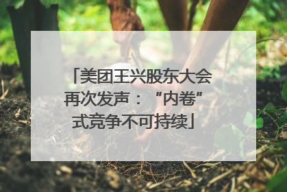 美团王兴股东大会再次发声：“内卷”式竞争不可持续