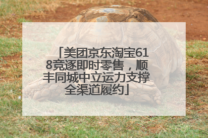 美团京东淘宝618竞逐即时零售，顺丰同城中立运力支撑全渠道履约