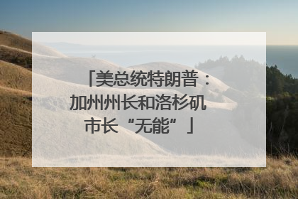 美总统特朗普：加州州长和洛杉矶市长“无能”