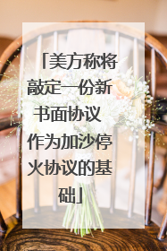 美方称将敲定一份新书面协议 作为加沙停火协议的基础