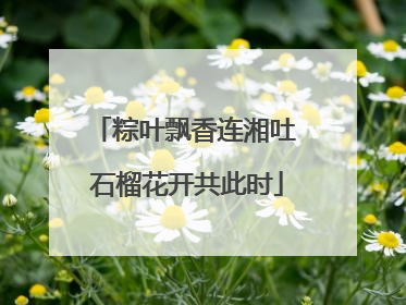 粽叶飘香连湘吐 石榴花开共此时