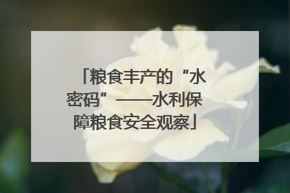 粮食丰产的“水密码”——水利保障粮食安全观察