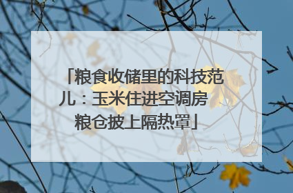 粮食收储里的科技范儿：玉米住进空调房 粮仓披上隔热罩