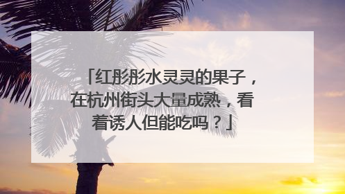 红彤彤水灵灵的果子，在杭州街头大量成熟，看着诱人但能吃吗？