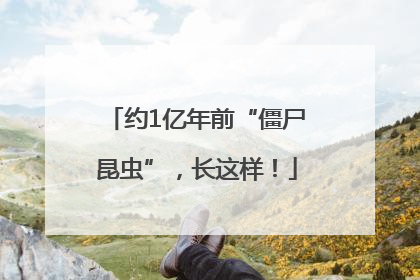 约1亿年前“僵尸昆虫”，长这样！