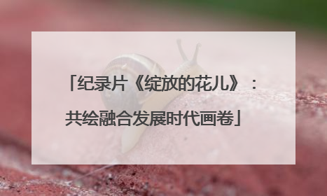 纪录片《绽放的花儿》：共绘融合发展时代画卷