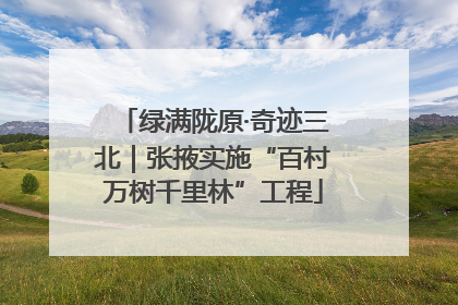 绿满陇原·奇迹三北｜张掖实施“百村万树千里林”工程
