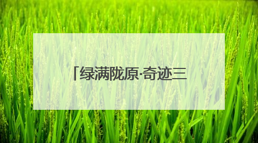 绿满陇原·奇迹三北｜梭梭林里种“黄金” 高台治沙致富很“从容”