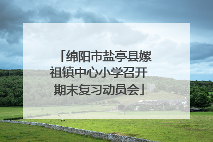 绵阳市盐亭县嫘祖镇中心小学召开期末复习动员会