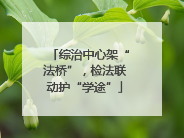 综治中心架“法桥”，检法联动护“学途”