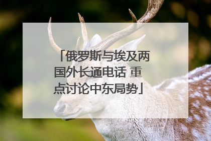 俄罗斯与埃及两国外长通电话 重点讨论中东局势