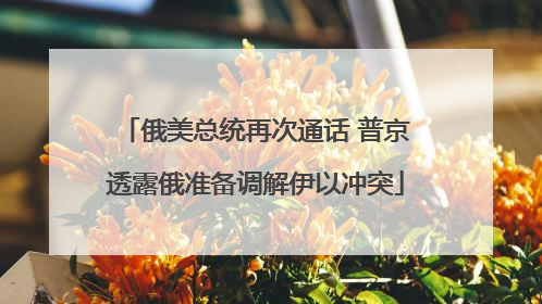 俄美总统再次通话 普京透露俄准备调解伊以冲突