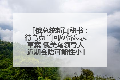 俄总统新闻秘书：待乌克兰回应备忘录草案 俄美乌领导人近期会晤可能性小