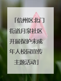 信州区北门街道月泉社区开展保护未成年人校园宣传主题活动