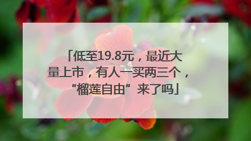 低至19.8元，最近大量上市，有人一买两三个，“榴莲自由”来了吗
