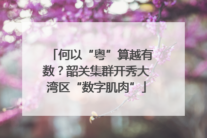 何以“粤”算越有数？韶关集群开秀大湾区“数字肌肉”