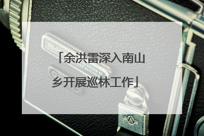 余洪雷深入南山乡开展巡林工作