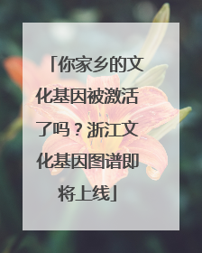 你家乡的文化基因被激活了吗？浙江文化基因图谱即将上线