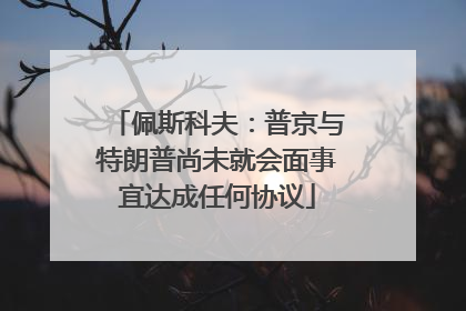 佩斯科夫：普京与特朗普尚未就会面事宜达成任何协议