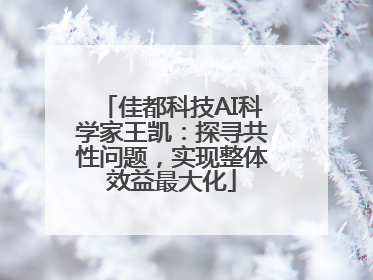 佳都科技AI科学家王凯：探寻共性问题，实现整体效益最大化