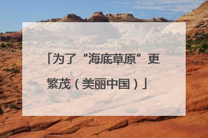 为了“海底草原”更繁茂（美丽中国）