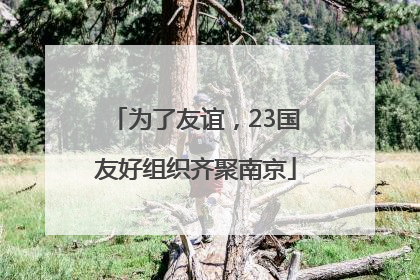 为了友谊，23国友好组织齐聚南京