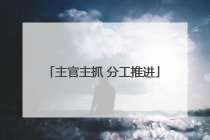 主官主抓 分工推进